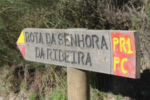 Rota Pedestre Senhora da Ribeira - Moinhos de Pepim